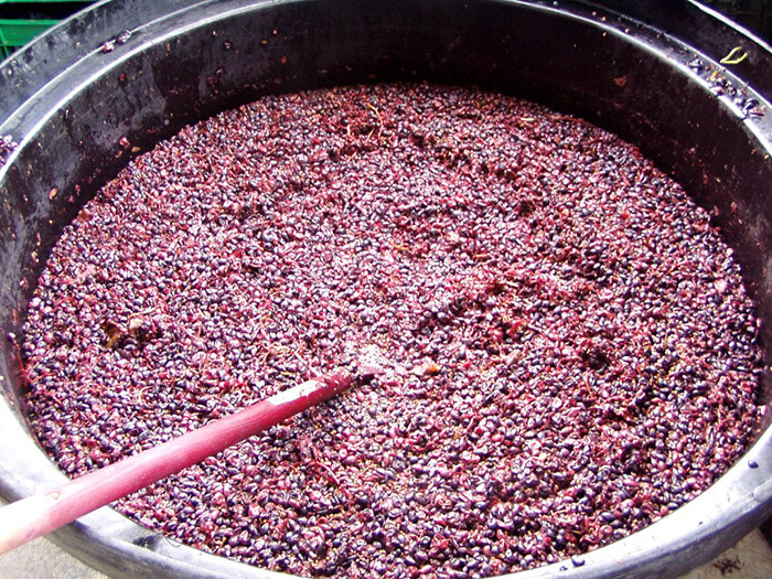 red wine grapes fermenting LÊN MEN