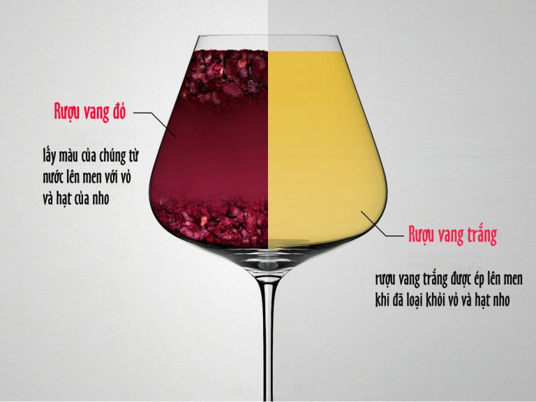 white vs red wine vin 1124