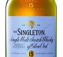 Singleton15 LOGO