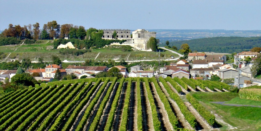 bordeaux cánh đồng nho