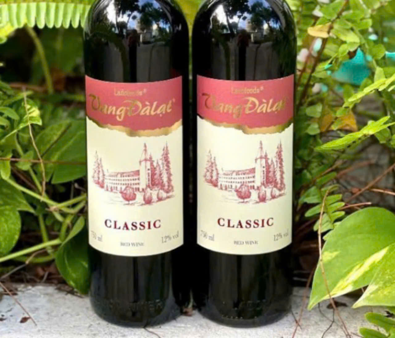 Trung bay vang classic red wine mau moi